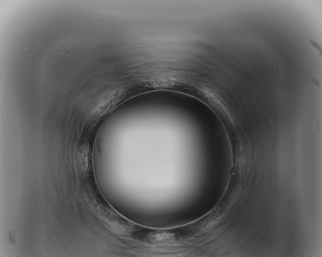 X0000103250501200809041112