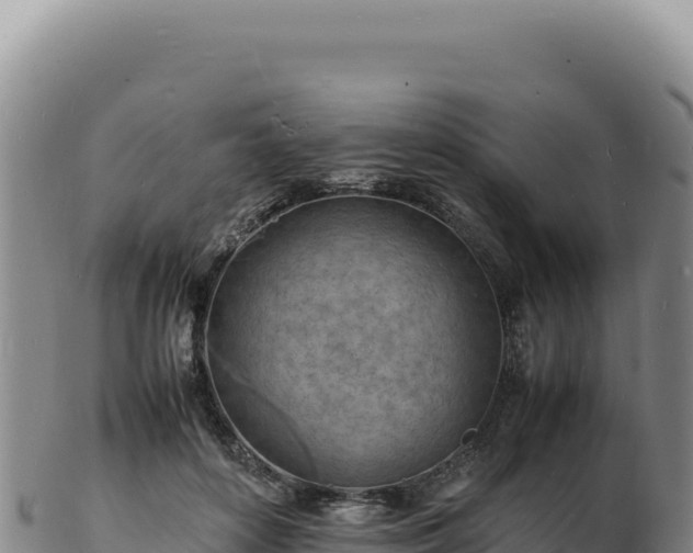 X0000103250504200809041112