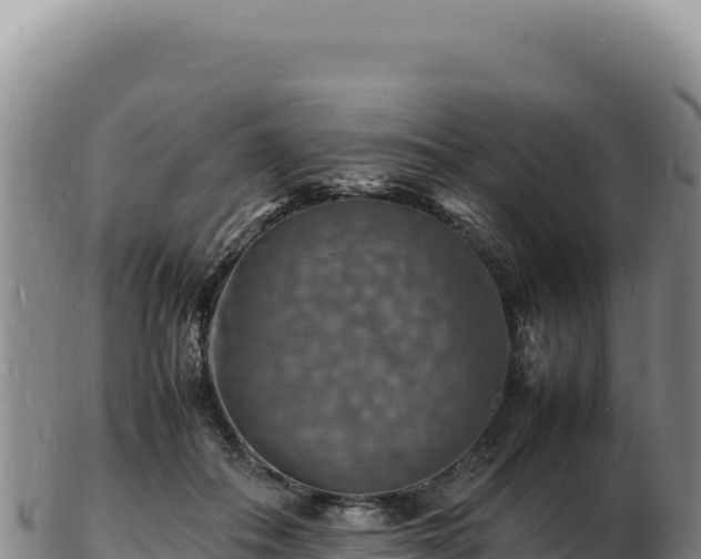 X0000103250506200809041112