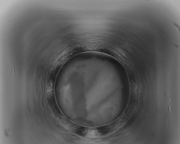 X0000103250507200809041112