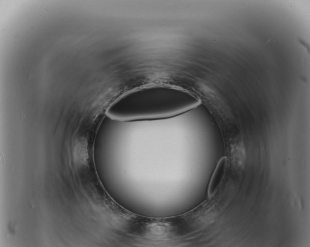 X0000103250508200809041112