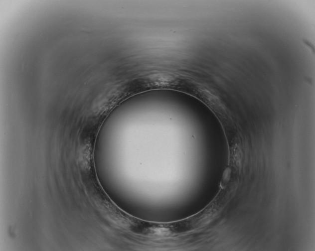 X0000103250509200809041112