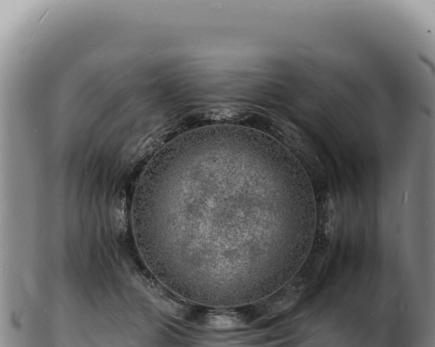 X0000103250510200809041112