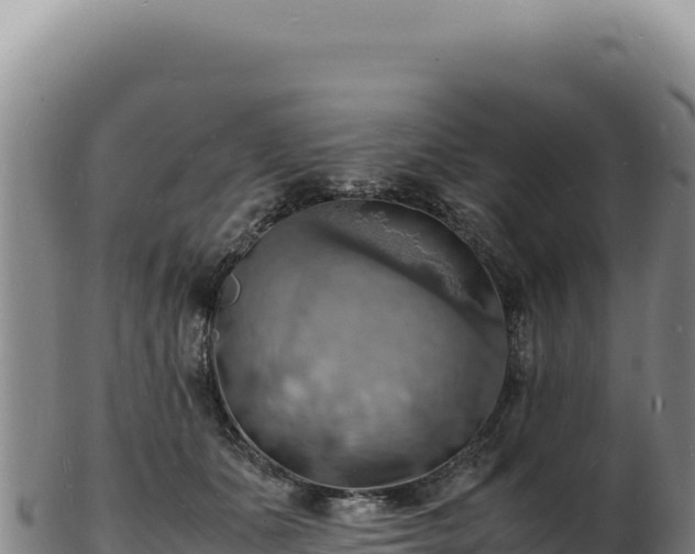 X0000103250511200809041112