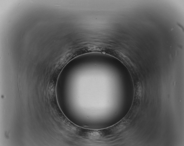 X0000103250513200809041112