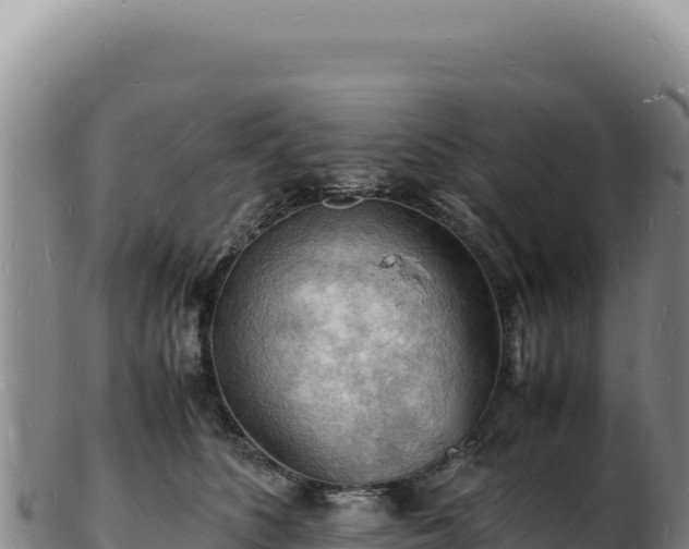 X0000103250516200809041112