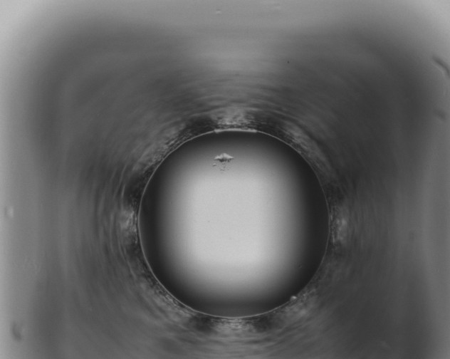 X0000103250521200809041112