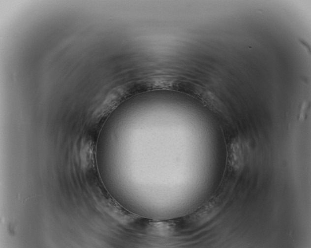 X0000103250522200809041112