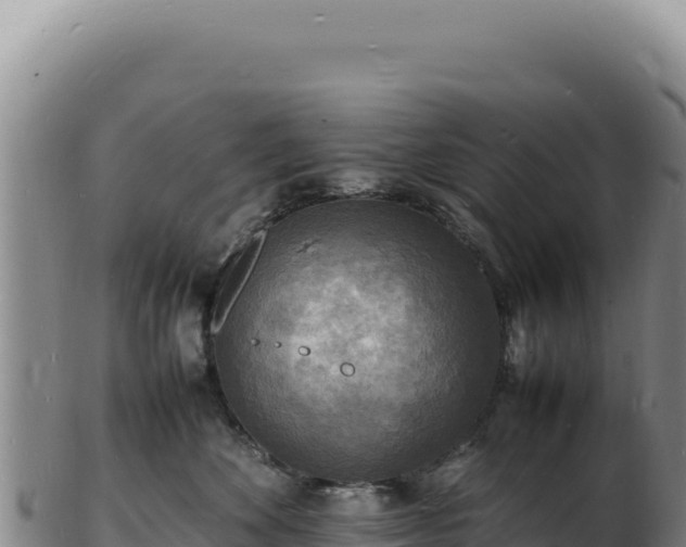 X0000103250524200809041112