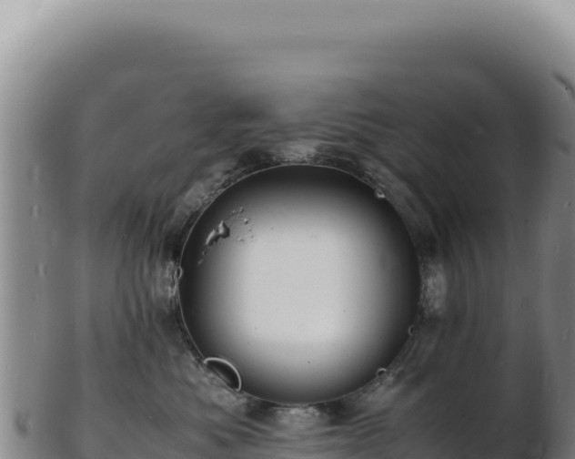 X0000103250525200809041111