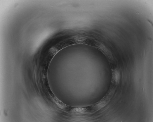 X0000103250526200809041111