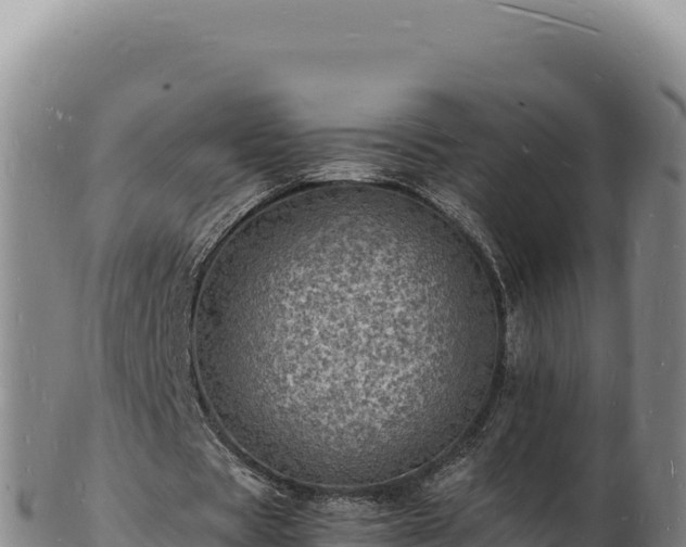 X0000103250529200809041111