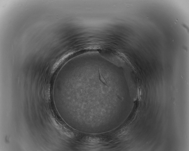 X0000103250531200809041111