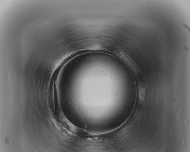 X0000103250532200809041111