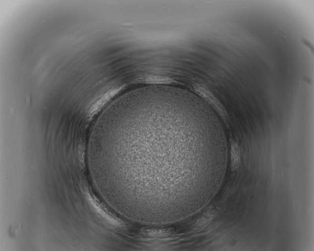 X0000103250533200809041111