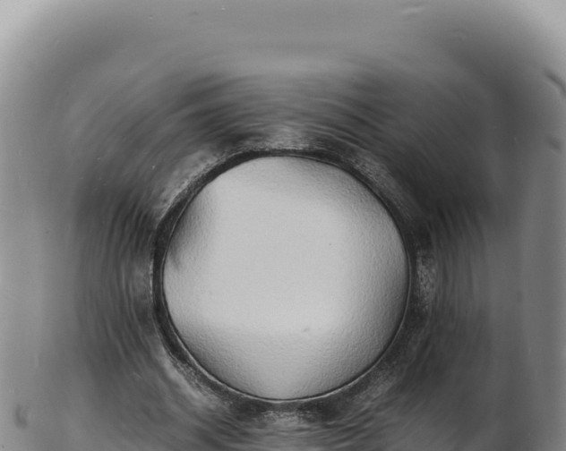 X0000103250534200809041111
