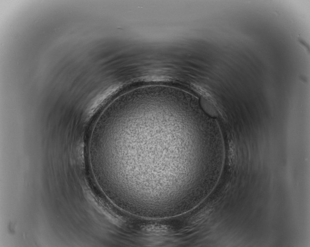 X0000103250535200809041111