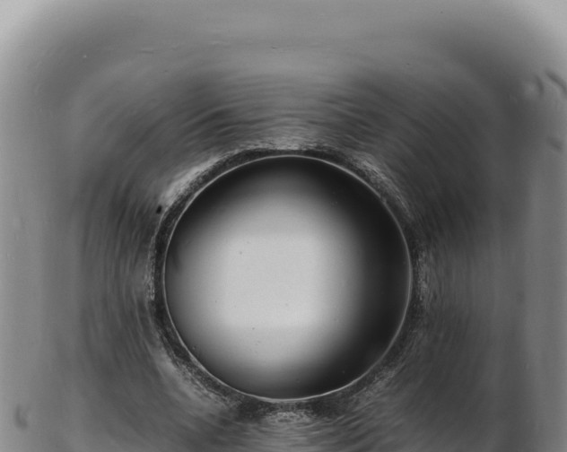 X0000103250536200809041111