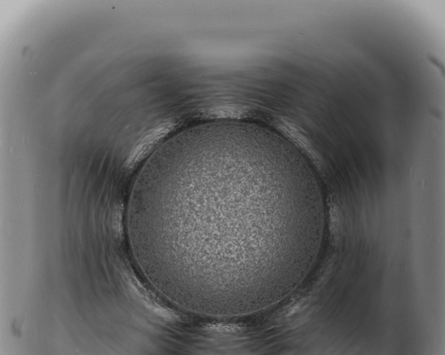 X0000103250537200809041111
