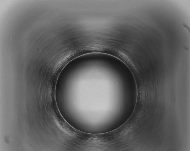 X0000103250538200809041111