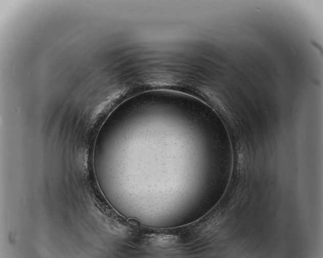 X0000103250539200809041111