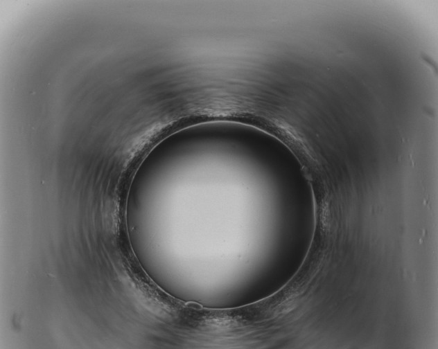 X0000103250540200809041111