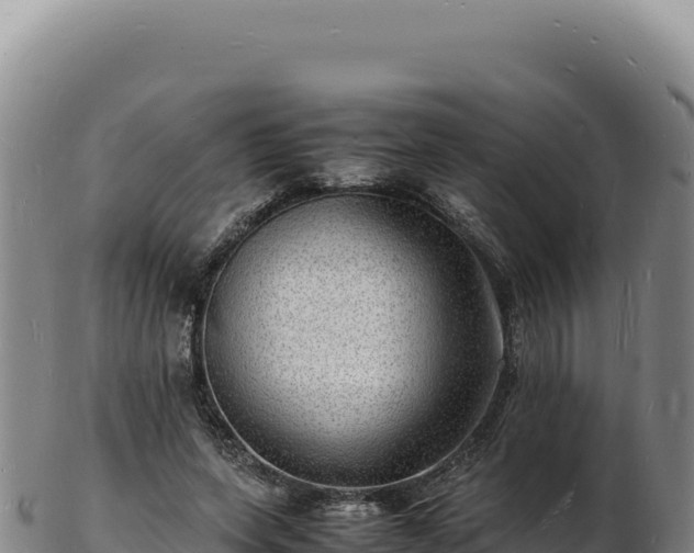 X0000103250543200809041111