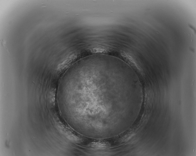X0000103250545200809041111