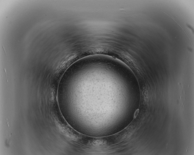 X0000103250546200809041111
