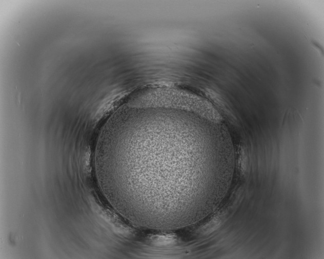 X0000103250548200809041111