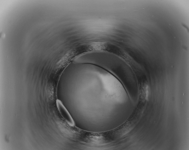 X0000103250552200809041111