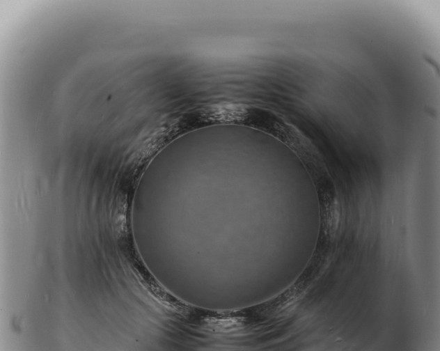 X0000103250553200809041111