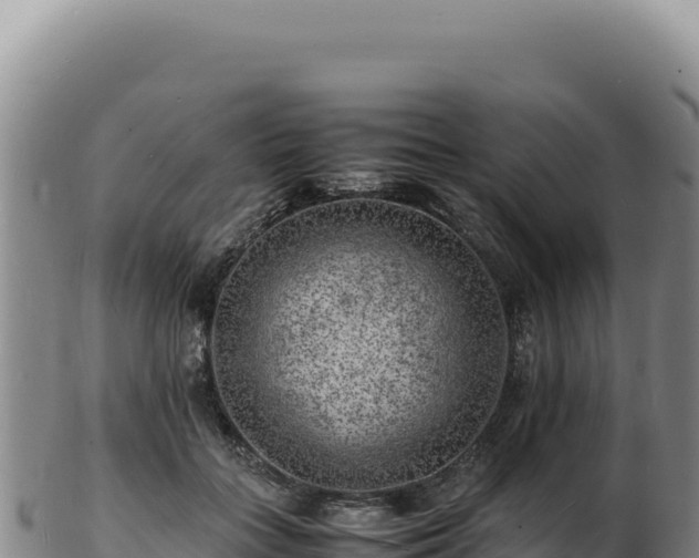 X0000103250555200809041111