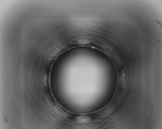X0000103250556200809041111