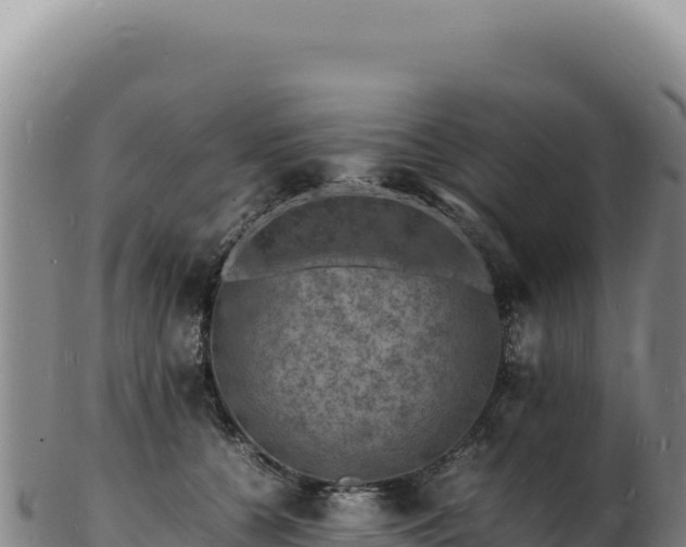 X0000103250560200809041111