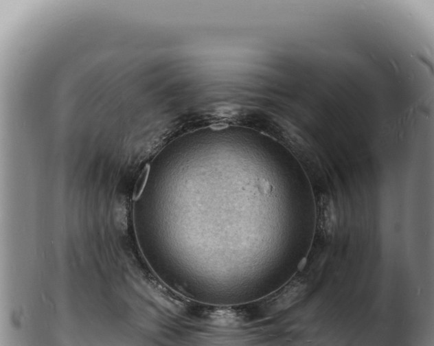 X0000103250562200809041111