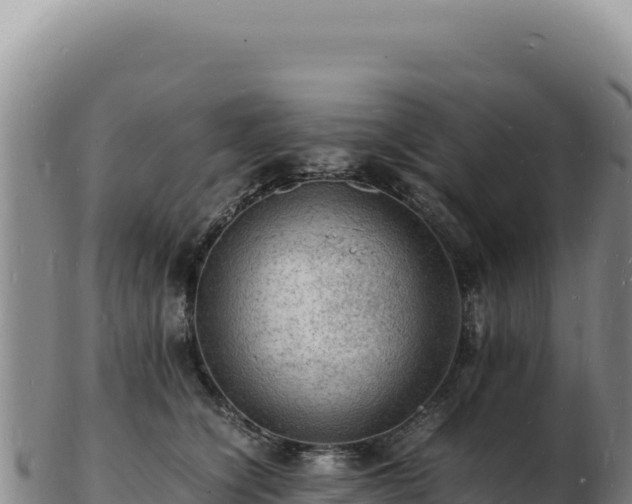 X0000103250564200809041111