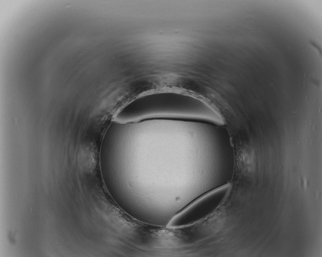 X0000103250566200809041111