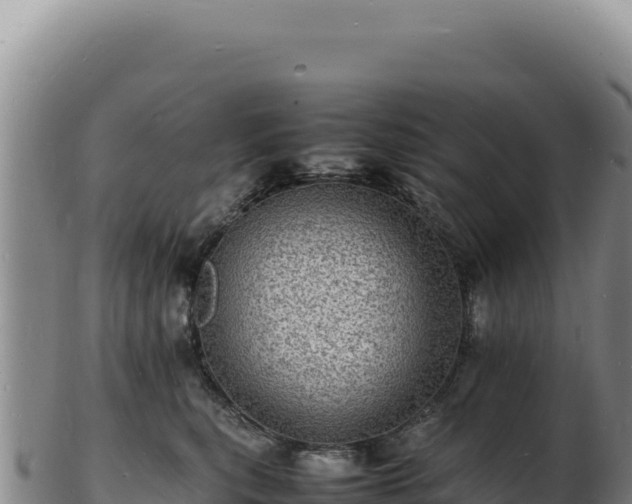 X0000103250567200809041111