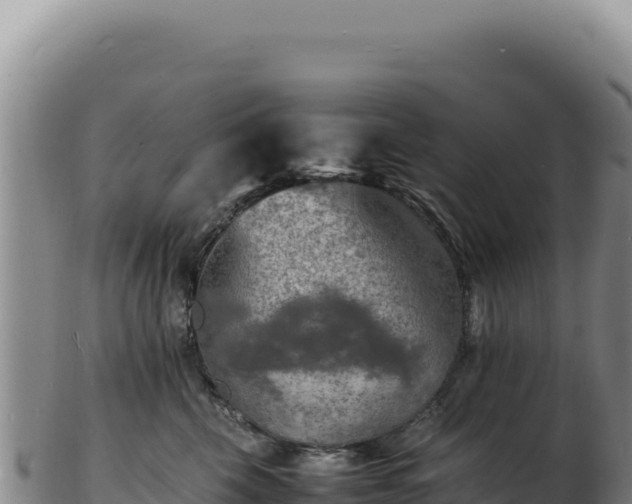 X0000103250569200809041111