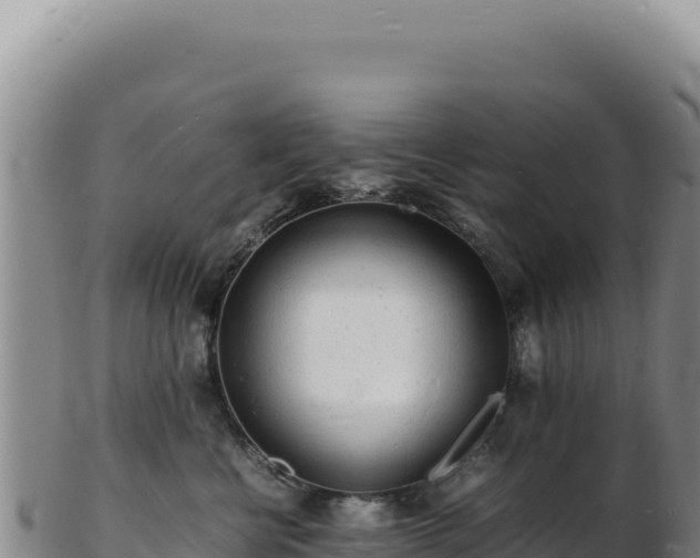 X0000103250570200809041111