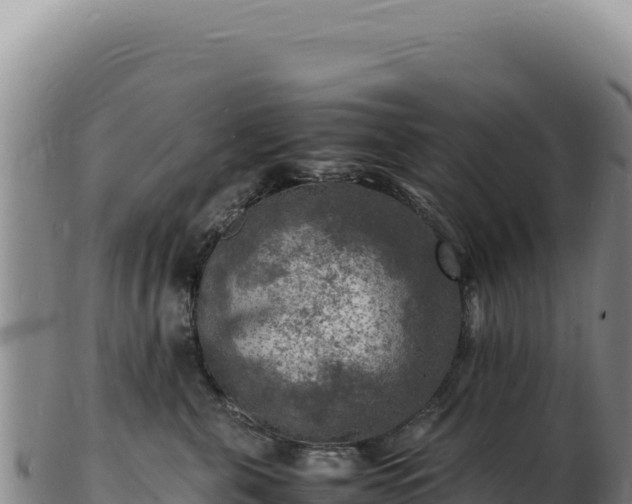 X0000103250571200809041111