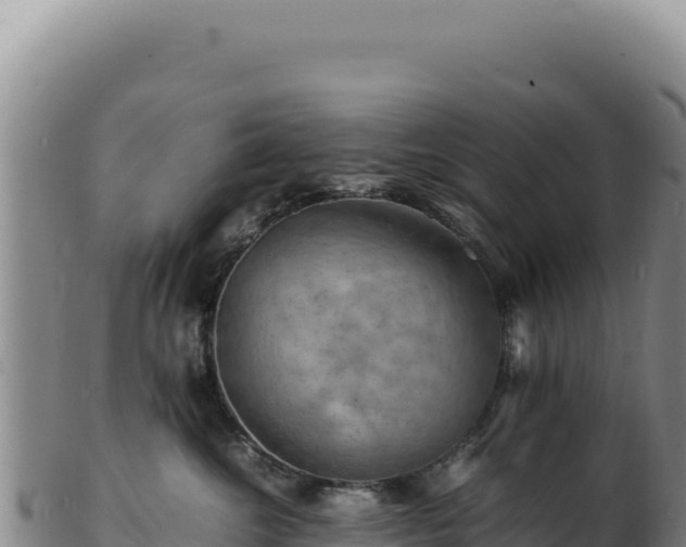 X0000103250572200809041111
