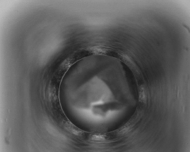 X0000103250573200809041111