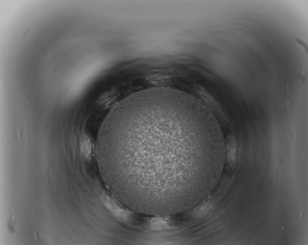 X0000103250574200809041111
