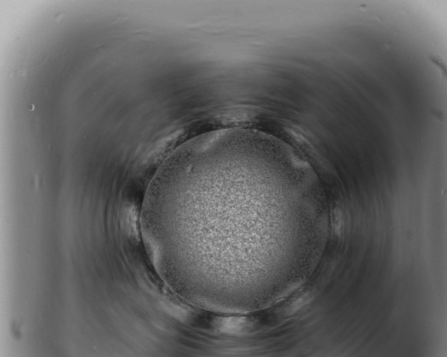 X0000103250575200809041111