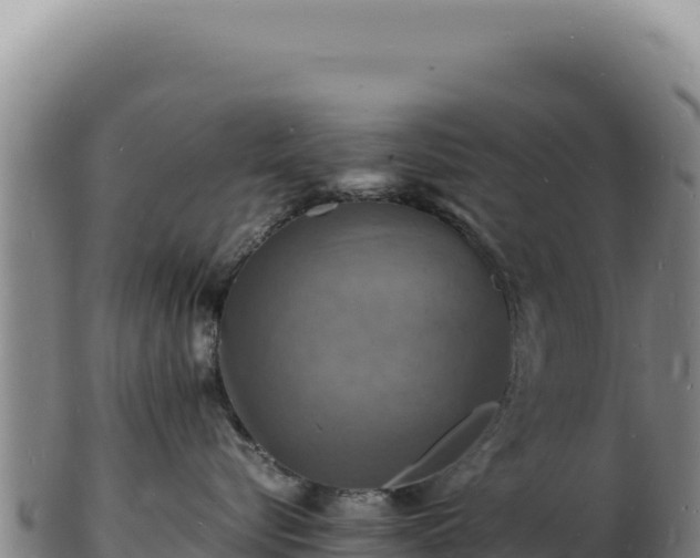 X0000103250576200809041111