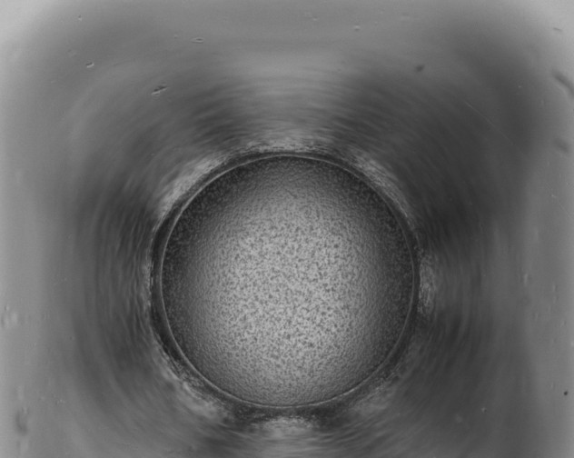 X0000103250578200809041111