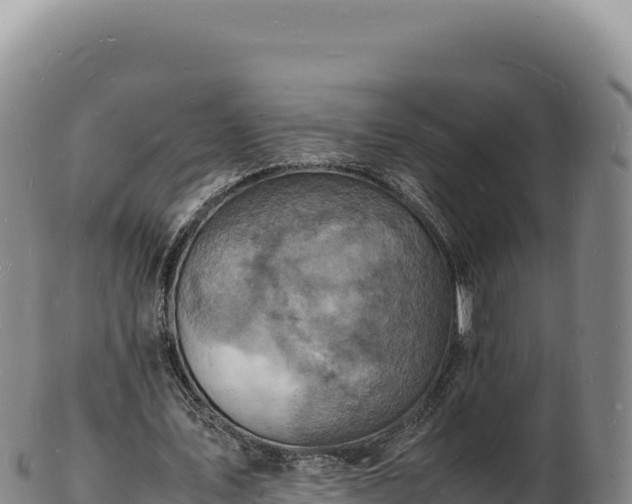 X0000103250579200809041111