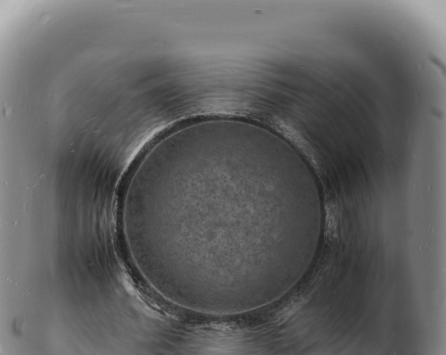 X0000103250580200809041111